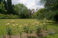 0120Arboretum de Balaine